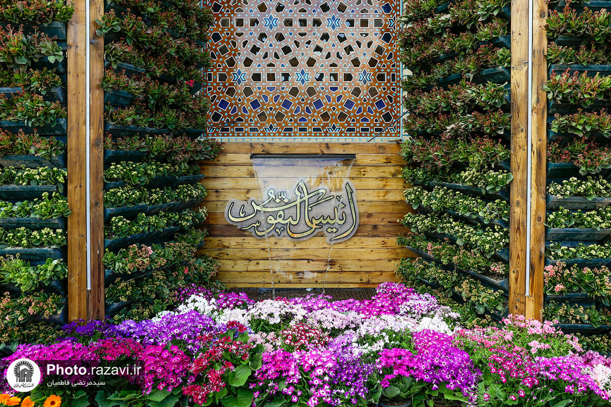 به بهانه آغاز بهار طبیعت، برگ‌هایی از تاریخ حرم را ورق زده‌ایم / تاریخ ۱۲۰۰ ساله «فضای سبز» در بارگاه منوّر رضوی