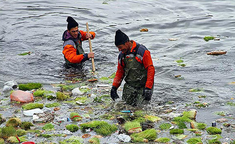 تجربه تلخ طبیعتگردی در سایه زبالههای نوروزی