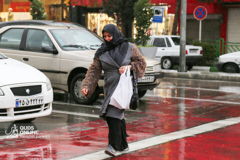 بارش باران بهاری در مشهد