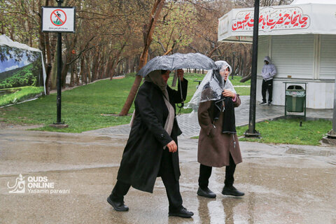 بارش باران بهاری در مشهد