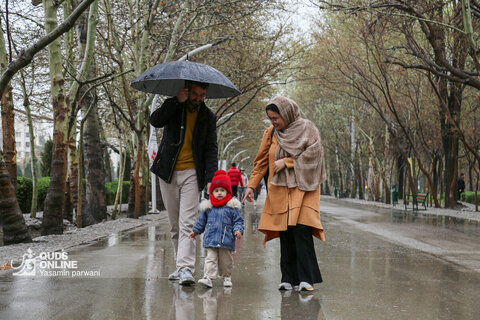 بارش باران بهاری در مشهد