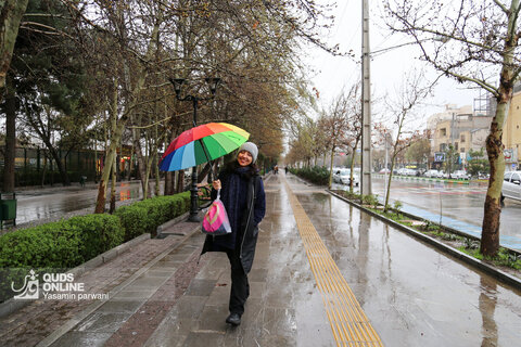بارش باران بهاری در مشهد