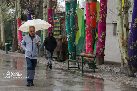 بارش باران بهاری در مشهد