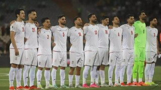 ملاقات پاییزی یوزها با کیسه شن آمریکای لاتین/ شیلی؛ شیر بی یال و دم!