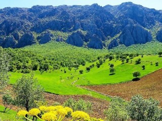 بهار دلنشین گیلانغرب پذیرای حضور مسافران نوروزی