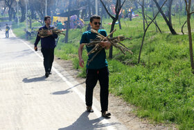 فقط ۲۰ دقیقه در طبیعت حضور پیدا کنید