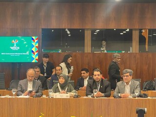 ایران خواستار تشکیل صندوق نوآوری سبز کشورهای عضو بریکس شد
