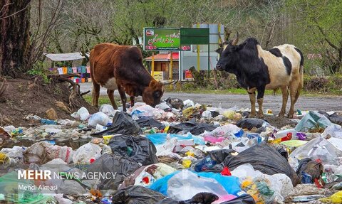 عکس | تصویری فاجعه‌بار از انباشت زباله گیلان در نوروز