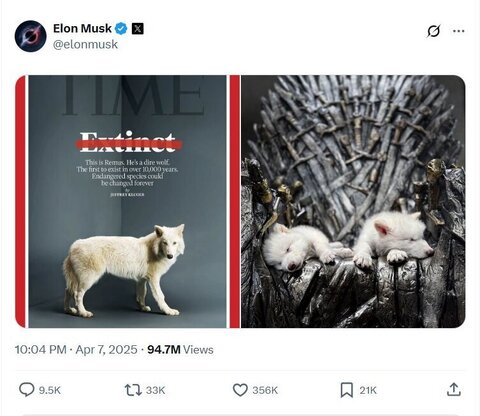 عکس | حیوان خانگی عجیب ایلان ماسک/ از گرگهای بازی تاج و تخت تا ماموت مینیاتوری!