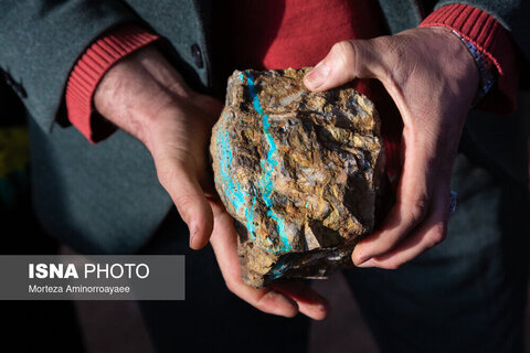 عکس منتخب هفته | از سفر عارف به مشهد تا تجمع علیه جنایات رژیم صهیونیستی در تهران