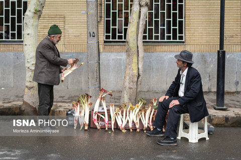 عکس منتخب هفته | از سفر عارف به مشهد تا تجمع علیه جنایات رژیم صهیونیستی در تهران