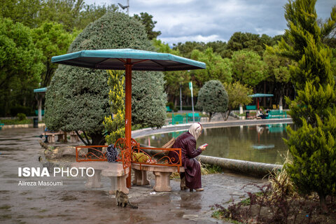 عکس منتخب هفته | از سفر عارف به مشهد تا تجمع علیه جنایات رژیم صهیونیستی در تهران