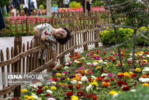 عکس منتخب هفته | از سفر عارف به مشهد تا تجمع علیه جنایات رژیم صهیونیستی در تهران
