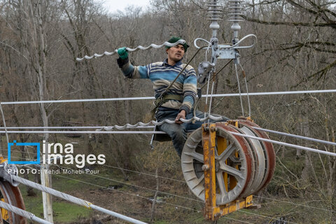 عکس منتخب هفته | از سفر عارف به مشهد تا تجمع علیه جنایات رژیم صهیونیستی در تهران