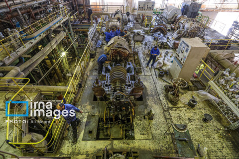 عکس منتخب هفته | از سفر عارف به مشهد تا تجمع علیه جنایات رژیم صهیونیستی در تهران