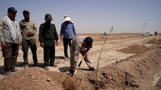 آغاز عملیات بیابان‌زدایی در کانون بحران ریزگردهای خوزستان
