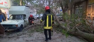 ۱۳ حادثه منجر به عملیات بر اثر طوفان در مشهد