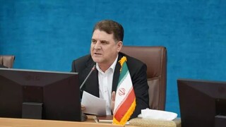 معاون وزیر کشور: احزاب در بزنگاه‌های سیاسی مسئولانه عمل کردند