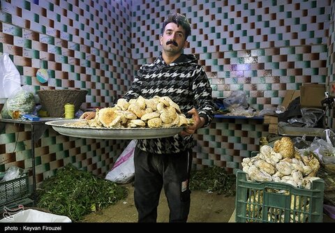 بازار فروش گیاهان بهاری در سنندج