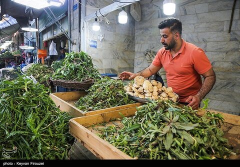 بازار فروش گیاهان بهاری در سنندج