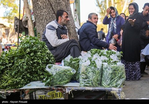 بازار فروش گیاهان بهاری در سنندج