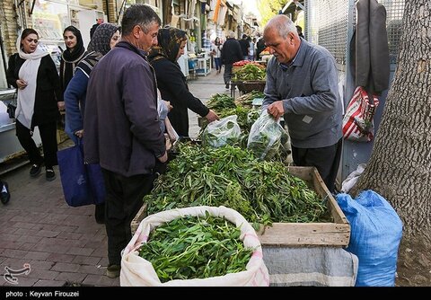 بازار فروش گیاهان بهاری در سنندج