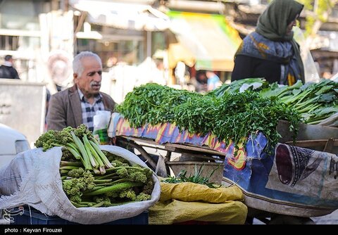 بازار فروش گیاهان بهاری در سنندج