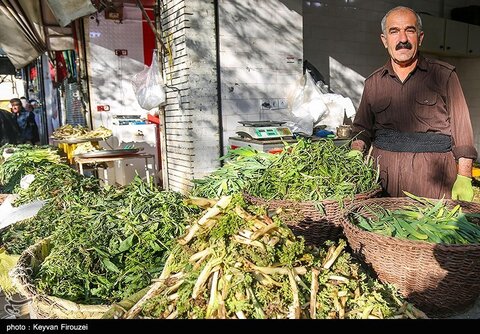 بازار فروش گیاهان بهاری در سنندج