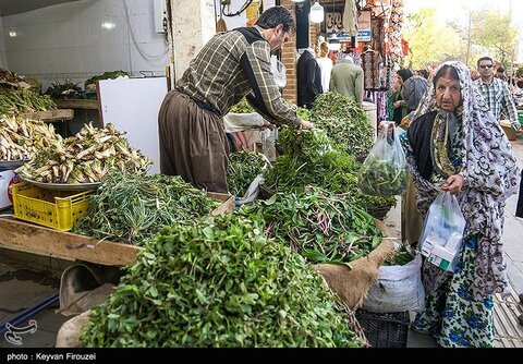بازار فروش گیاهان بهاری در سنندج