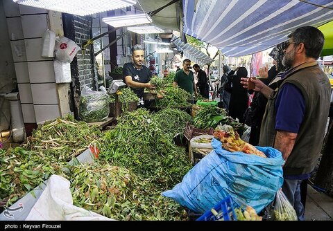 بازار فروش گیاهان بهاری در سنندج