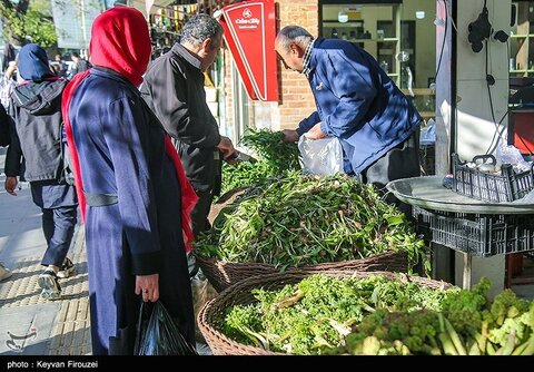 بازار فروش گیاهان بهاری در سنندج