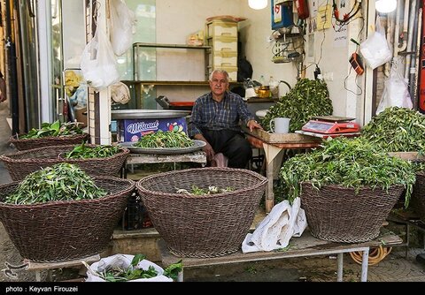 بازار فروش گیاهان بهاری در سنندج