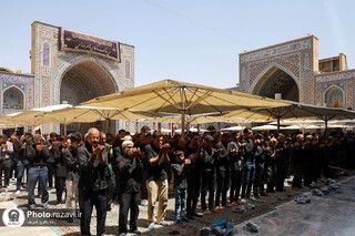 اقامه نماز جماعت با حضور بیش از ۵۰۰ امام‌جماعت مساجد مشهد در حرم رضوی