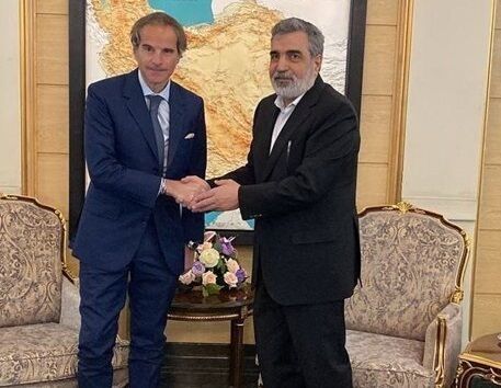 استقبال کمالوندی از گروسی در تهران