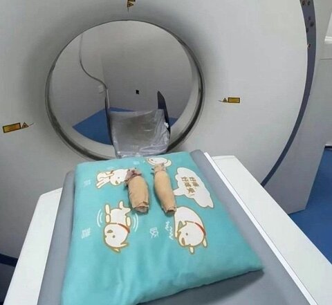 عکس | تصاویری بامزه از رادیولوژی و MRI حیوانات