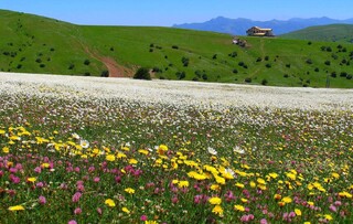اردیبهشت و اردو زدن در بهشت