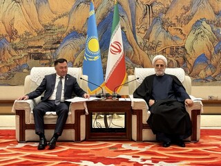 دیدار محسنی اژه‌ای با مقامات قضایی هفت کشور؛ استیفای حقوق ایرانیان محور گفت‌وگوها