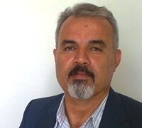 گندمها نارس درو میشوند
