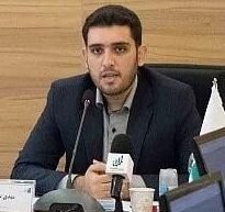 گندمها نارس درو میشوند