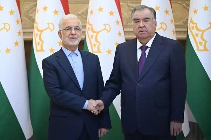 دیدار وزیر کشور با رئیس جمهوری تاجیکستان دیدار وزیر کشور با رئیس جمهوری تاجیکستان
