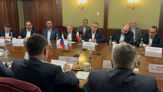 دیدار وزیر نفت با معاون نخست‌وزیر روسیه در مسکو