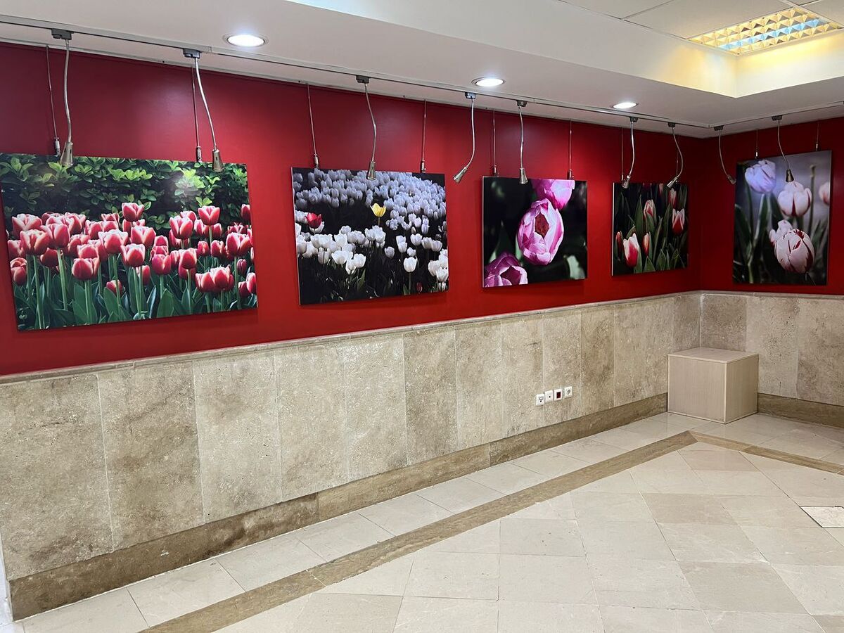 «لالایی لاله‌ها» به اندیشه رسید / ضیافت رنگ و بهار در قاب تصویر