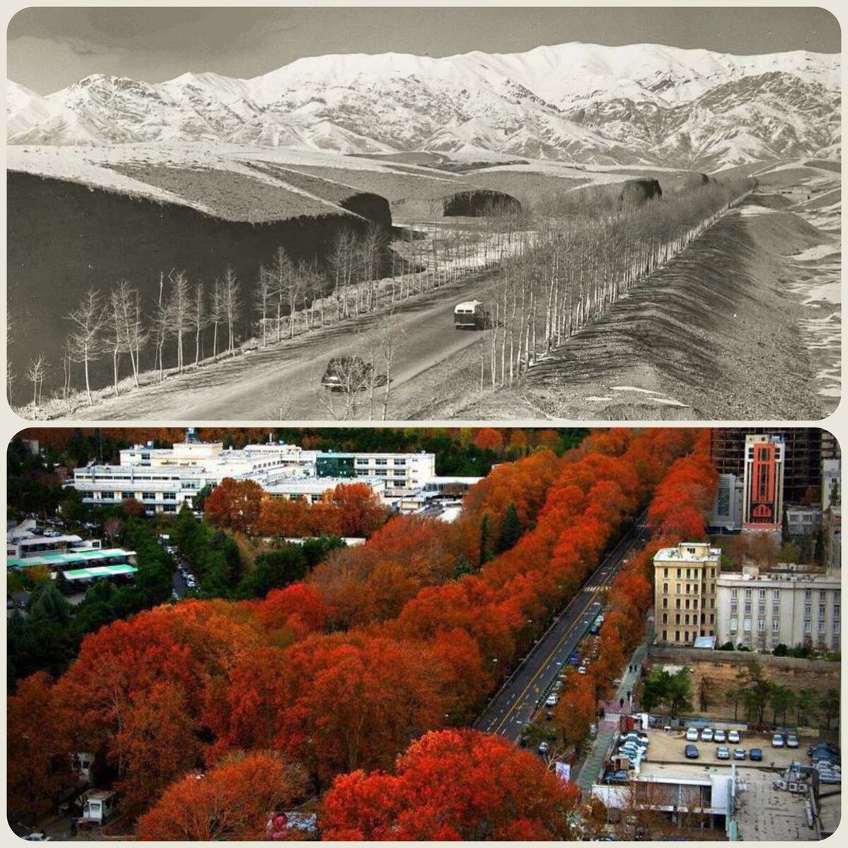 خیابان ولی عصر(عج) تهران طولانیترین خیابان خاورمیانه خیابان ولی عصر(عج) تهران طولانیترین خیابان خاورمیانه