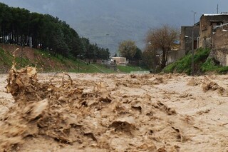 خسارت ۱۰۰ میلیارد تومانی سیل به بخش کشاورزی فیروزه