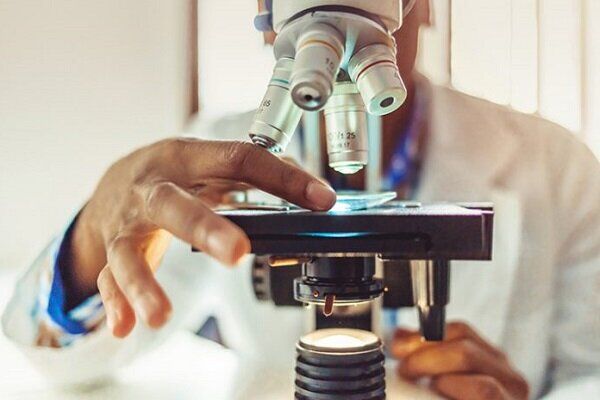 سقف حمایت  ازطرح‌های فراخوانی تا ۵.۵ میلیارد تومان افزایش یافت