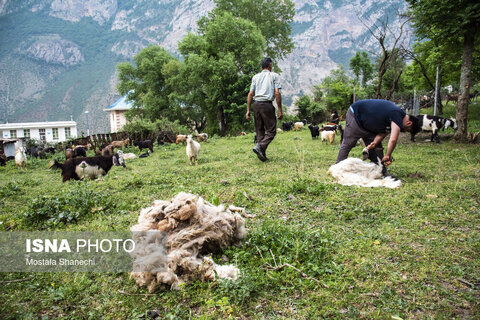 تشک‌دوزی سنتی در روستای «دو آب» - سوادکوه