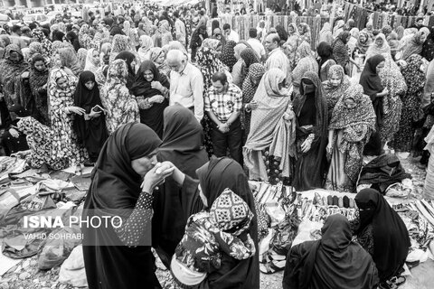 خلیج همیشه فارس