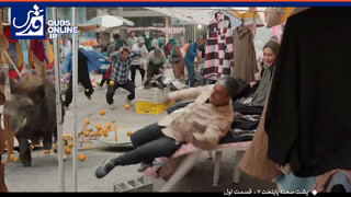 فیلم | پشت صحنه حمله گراز به نقی در پایتخت ۷