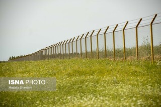 گزارش تصویری | طبیعت میانکاله در اسارت فنس؛ تلاش برای احیای «حفاظت»