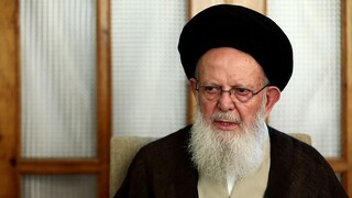امامت و هدایت در سیره رضوی جهانی است نه منطقه‌ای